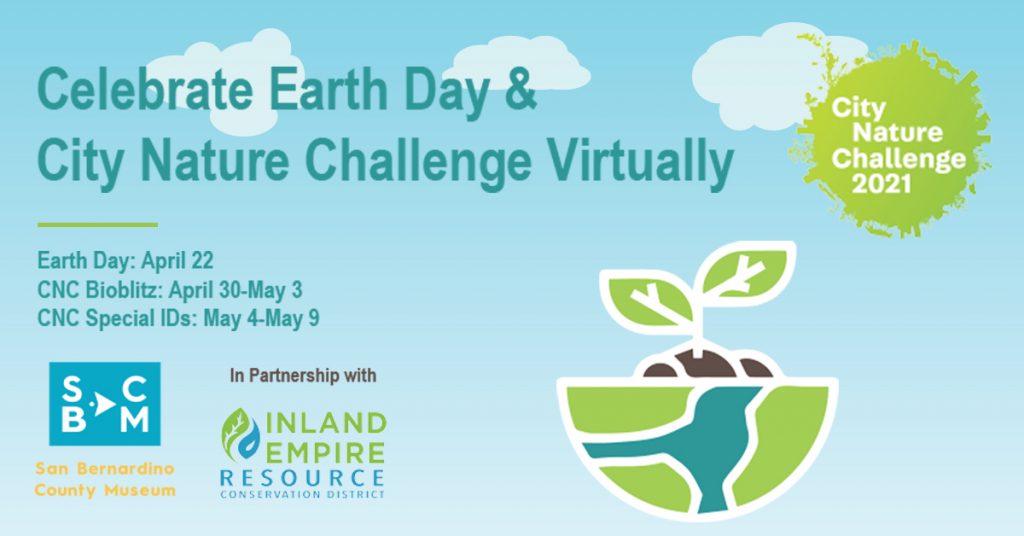 Museum Celebrates Earth Day With City Nature Challenge San Bernardino