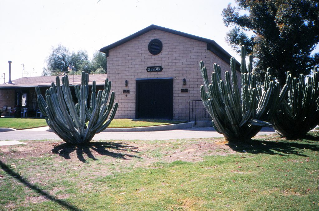 An image of the old Agua-Mansa church with cactus flanking the entrance and a tall tree to the right.