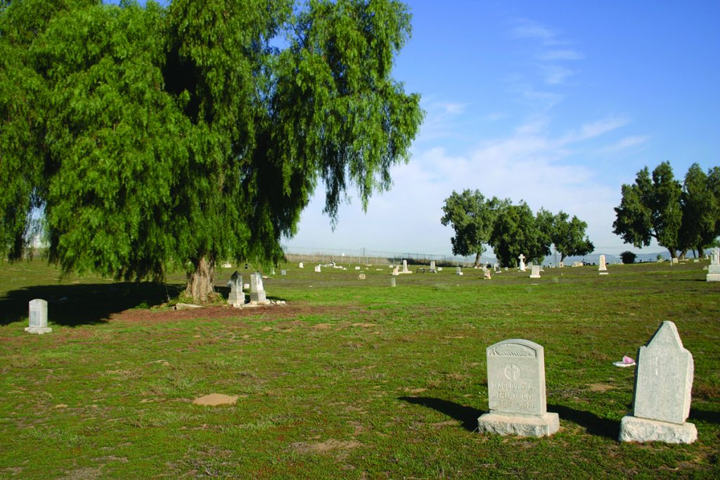A landscape photo of the cemetery with headstones on a green lawn. A mature tree is seen in the background on the left and two mature trees are seen on far right background.