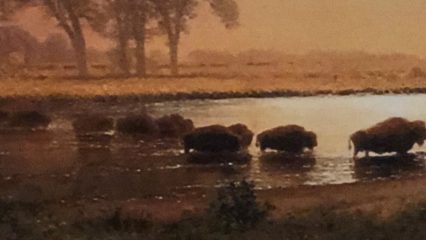 Buffalo wading in water