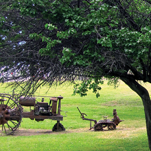 An outside view of an old metal piece of farm equipment on a green lawn under a mature tree on the right.