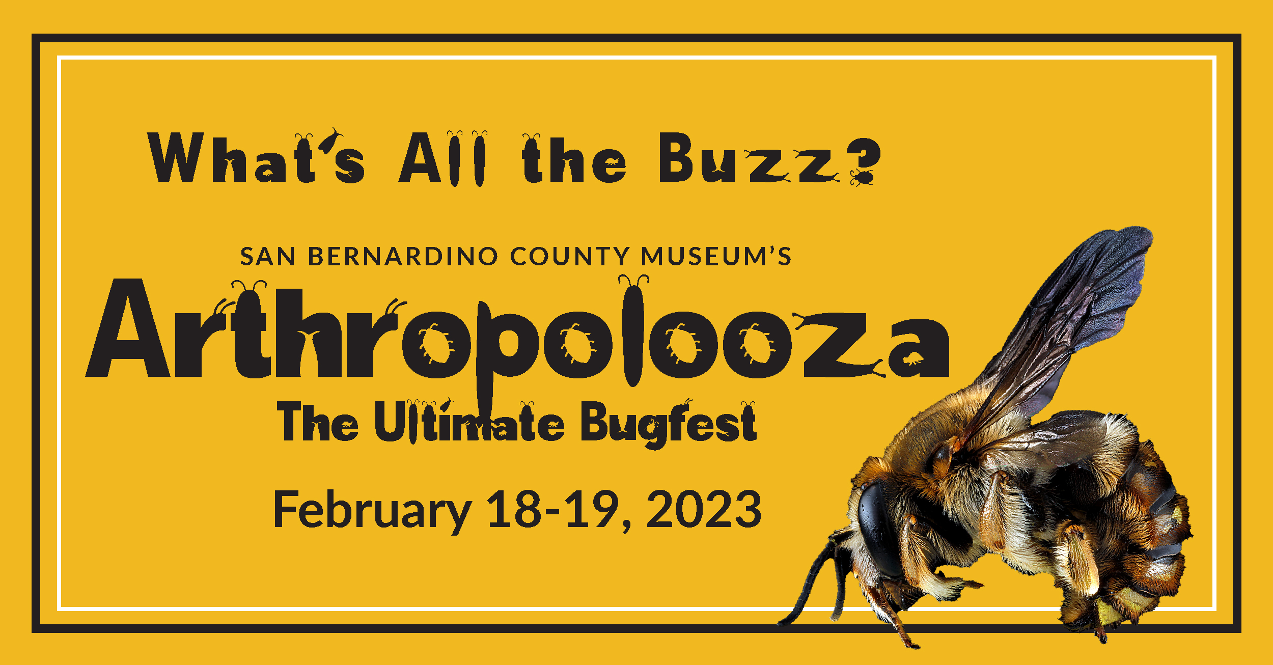 Display of Events from March 9 – October 14, 2023 – San Bernardino County Museum Display of Events from March 9 – October 14, 2023 – San Bernardino County Museum