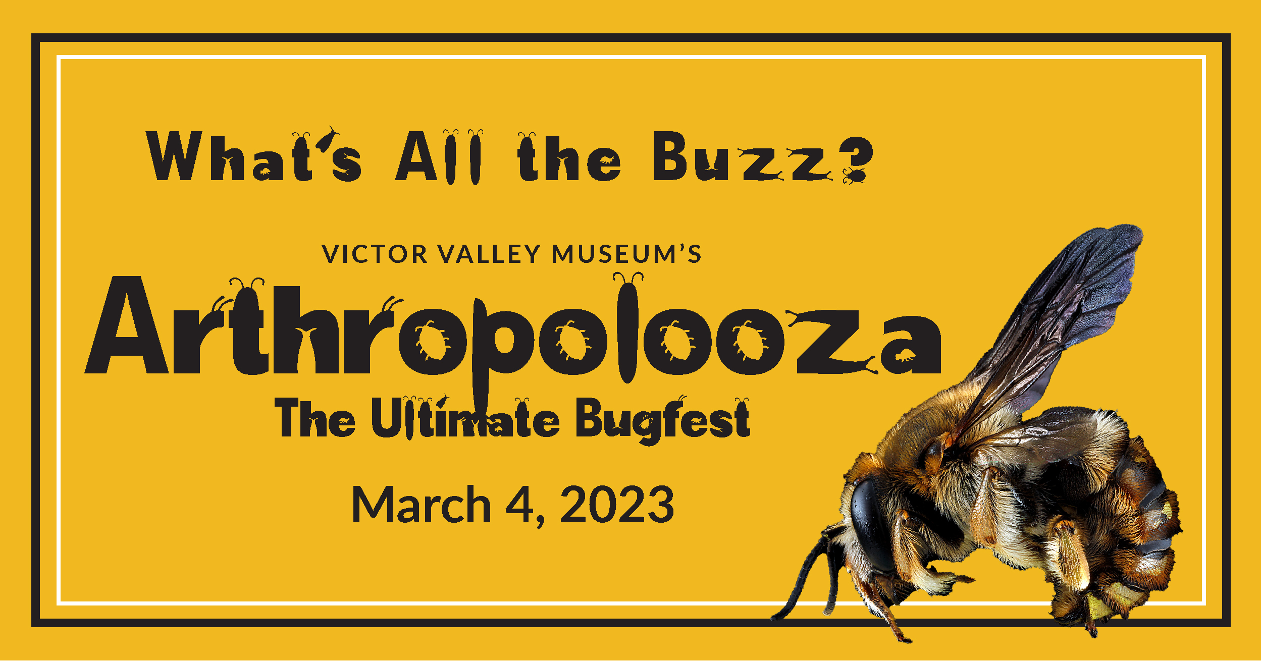 VVM Arthropolooza