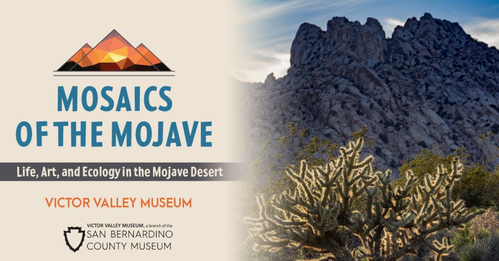 Mosaics of the Mojave