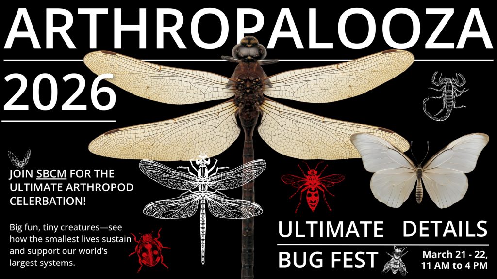 Poster for "Arthropalooza 2026" featuring various arthropods like a dragonfly, butterfly, scorpion, and beetle on a black background.