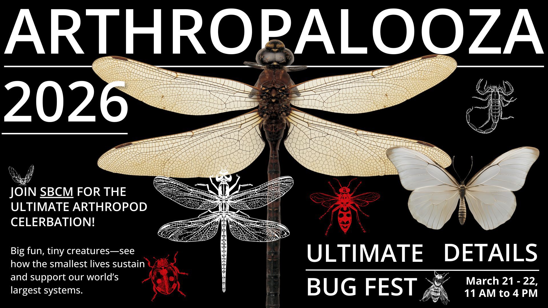 Poster for "Arthropalooza 2026" featuring various arthropods like a dragonfly, butterfly, scorpion, and beetle on a black background.