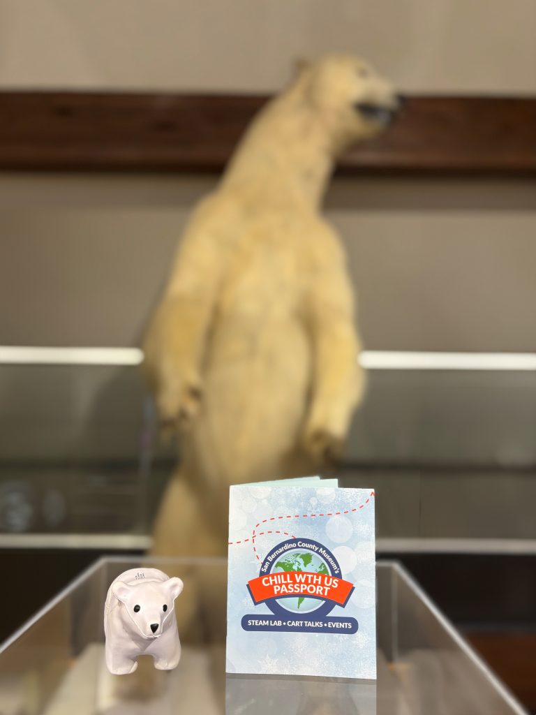 A cheerful polar bear poses next to a summer passport, evoking a sense of joy and playfulness.