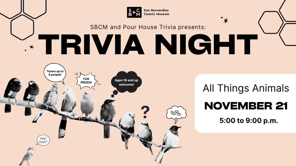 Promotional graphic for a trivia night hosted by the San Bernardino County Museum and Pour House Trivia. The background is light peach with hexagonal patterns and features a row of illustrated birds on a branch, some with speech and thought bubbles. Text bubbles read “Teams up to 8 people!”, “FUN PRIZES!”, and “Ages 16 and up welcome!”. Event details on the right say: “All Things Animals, NOVEMBER 21, 5:00 to 9:00 p.m.”