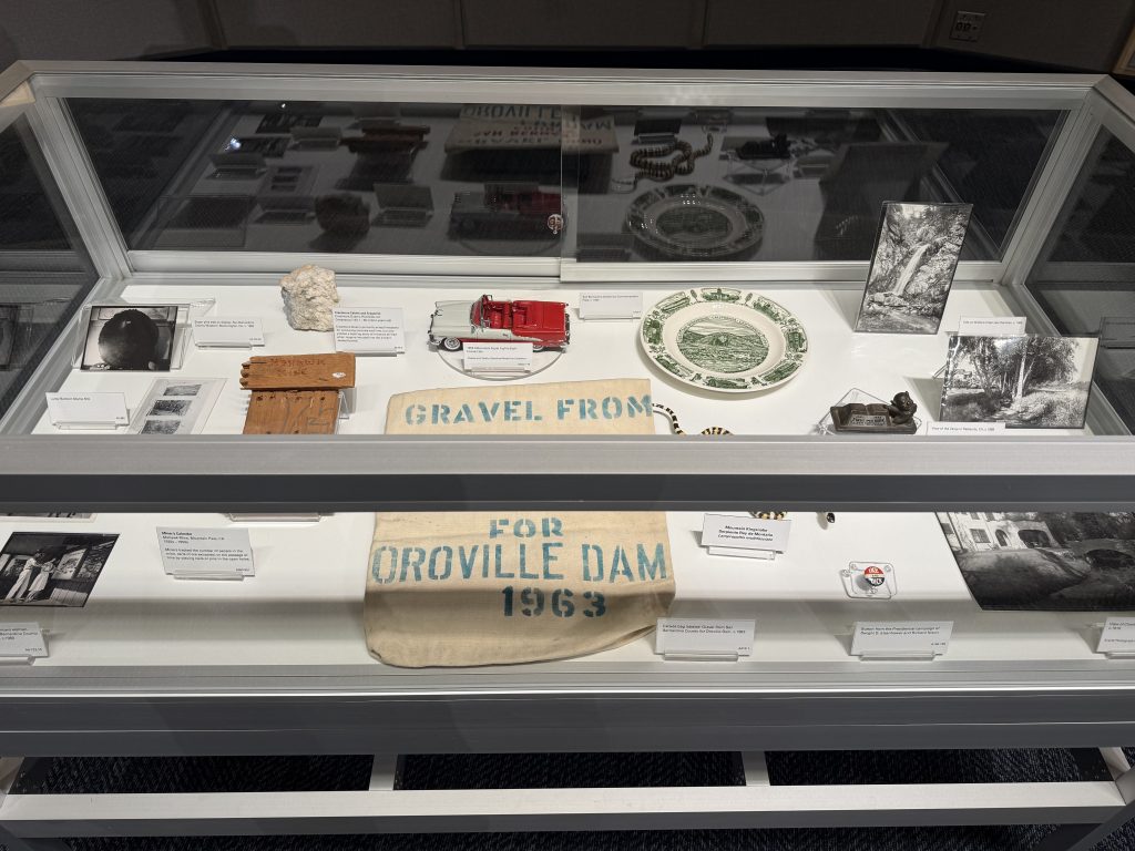 Display case in the Daytripper exhibit holding minerals, fossils, biological specimens, and historical artifacts from the museum's permanent collections.