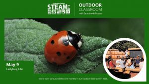 Green “Outdoor Classroom” flyer for May 9 featuring a close-up of a red ladybug on a leaf and children gathered for a “Ladybug Life” lesson outdoors.