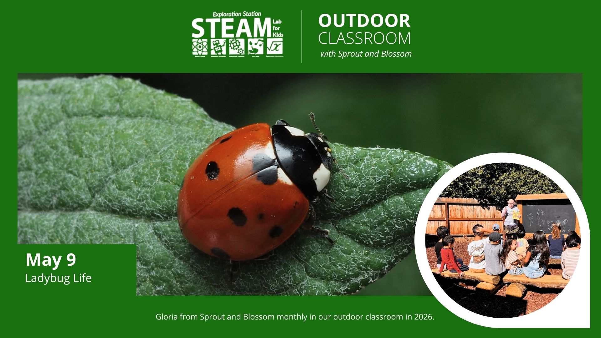 Green “Outdoor Classroom” flyer for May 9 featuring a close-up of a red ladybug on a leaf and children gathered for a “Ladybug Life” lesson outdoors.