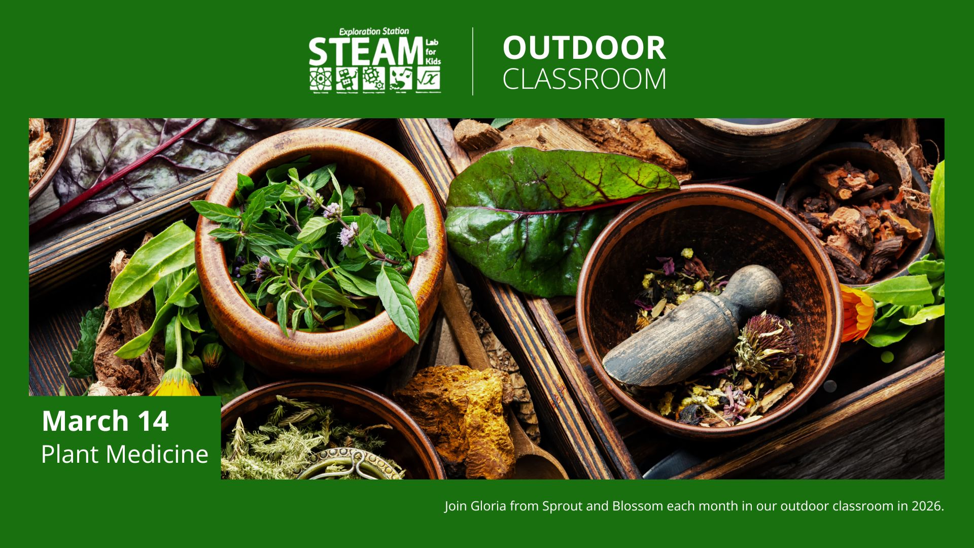 Flat lay of assorted fresh and dried herbs in wooden bowls and spoons, including mint, leafy greens, turmeric, and flower petals, with a stone pestle and mortar in an earthy, natural setting. Promotional graphic for a children’s STEAM lab outdoor classroom session.