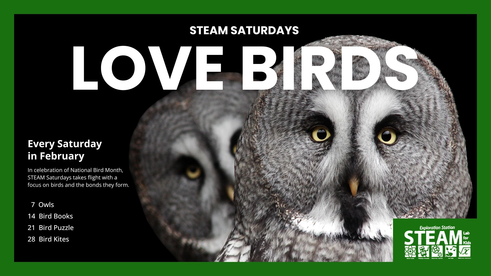 Close-up of two great grey owls with piercing yellow eyes against a black background, promoting "Love Birds" STEAM Saturday events in February, themed around birds and their connections.