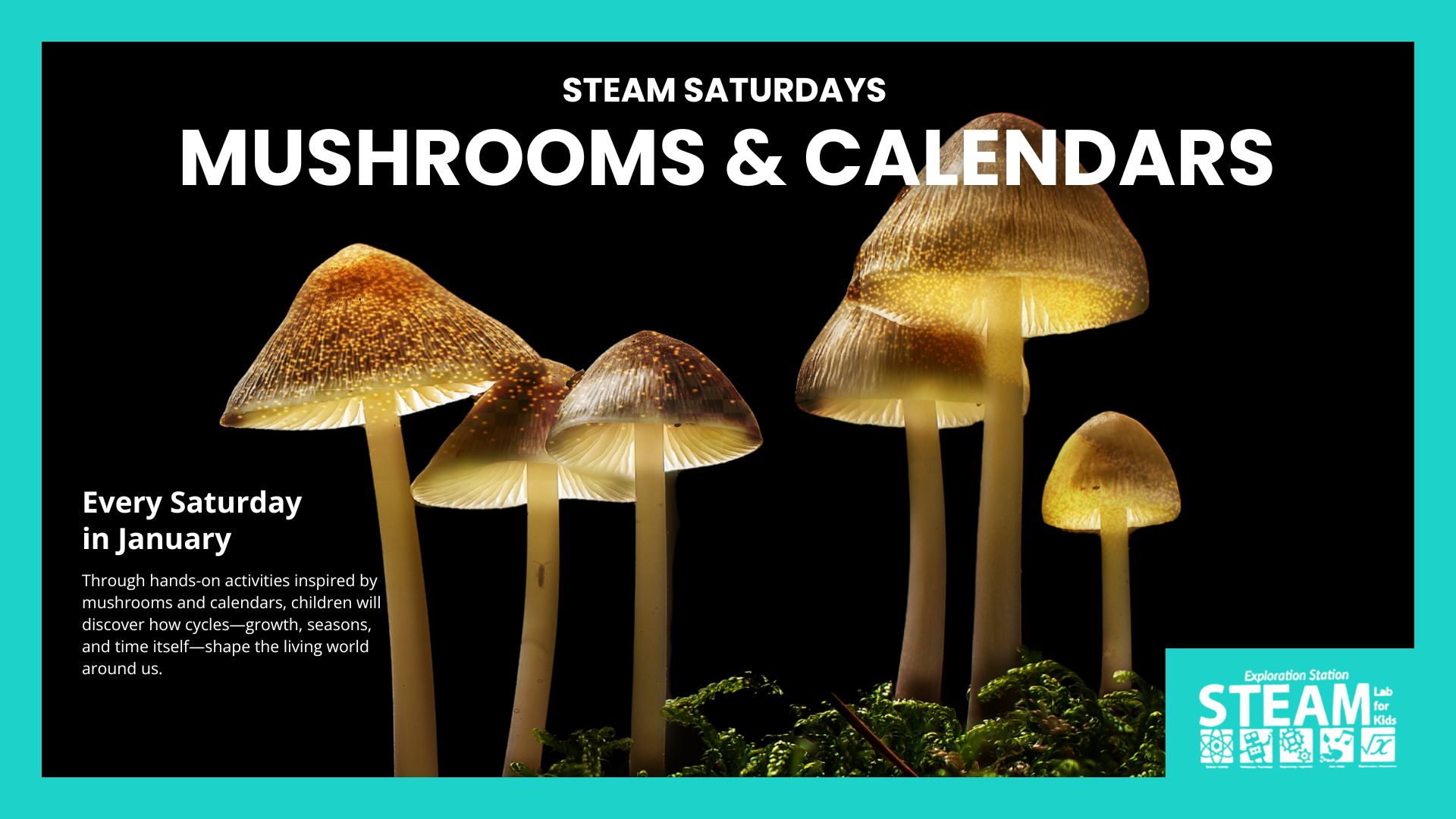 A group of glowing mushrooms with translucent stems and golden caps stands against a black background, surrounded by moss. White text announces “STEAM Saturdays: Mushrooms & Calendars,” with program details for January events aimed at children.