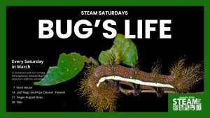 Promotional banner for Steam Saturdays: Bug’s Life, featuring a spiky brown caterpillar with yellow dots on green leaves against a black background.