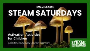 Promotional graphic for “STEAM Saturdays” featuring glowing mushrooms against a black background with text about children’s indoor STEAM activities in January.