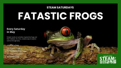 Promotional banner for “Steam Saturdays: Fatastic Frogs” featuring a red-eyed tree frog on a branch, with May dates and hands-on science activities listed.