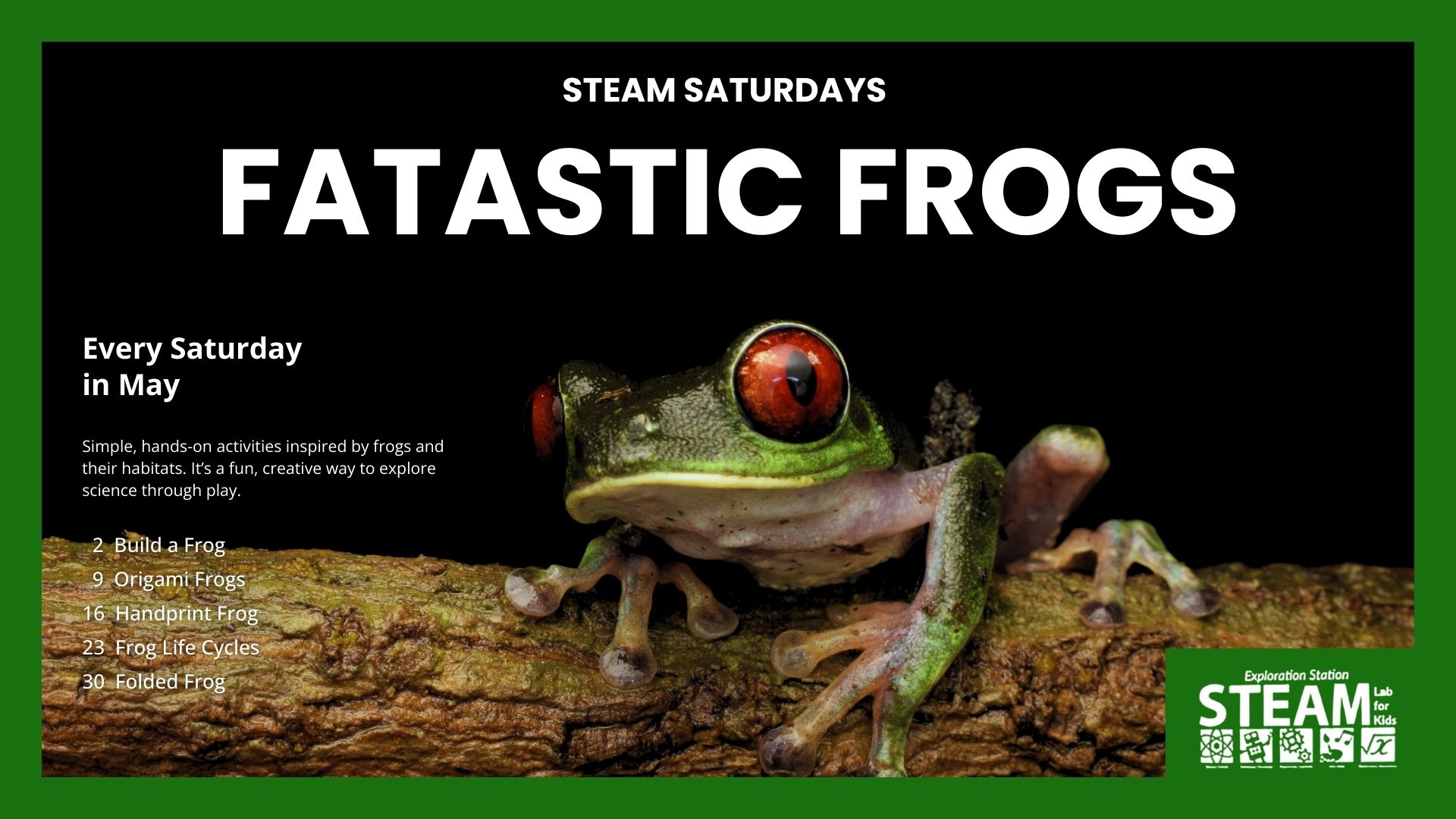 Promotional banner for “Steam Saturdays: Fatastic Frogs” featuring a red-eyed tree frog on a branch, with May dates and hands-on science activities listed.