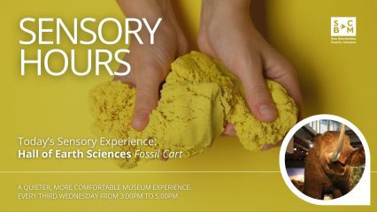 Sensory Hours promotion with hands holding yellow sensory sand and a Hall of Earth Sciences fossil cart display.