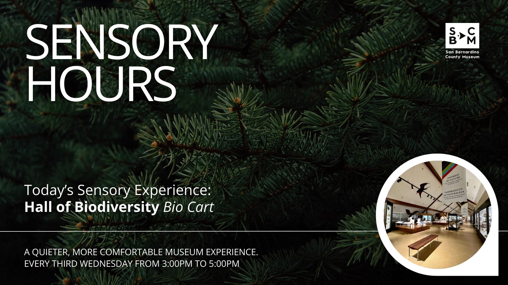 Sensory Hours graphic with evergreen branches background and a Hall of Biodiversity bio cart museum exhibit.