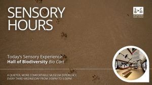 Sensory Hours graphic with sandy background and animal tracks, featuring the Hall of Biodiversity Bio Cart at San Bernardino County Museum.