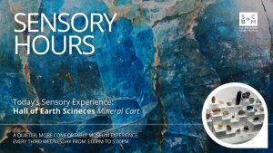 Sensory Hours promotion with blue mineral texture background and Hall of Earth Sciences mineral cart display.
