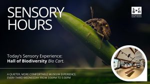 Poster for “Sensory Hours” at San Bernardino County Museum with a close-up insect on a green leaf; Hall of Biodiversity Bio Cart, third Wednesdays 3–5 PM.