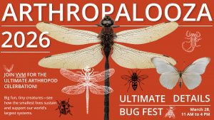 Poster for "Arthropalooza 2026" featuring various arthropods like a dragonfly, butterfly, scorpion, and beetle on an orange background.