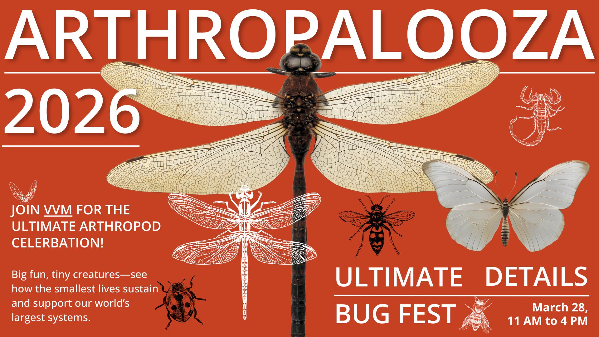 Poster for "Arthropalooza 2026" featuring various arthropods like a dragonfly, butterfly, scorpion, and beetle on an orange background.