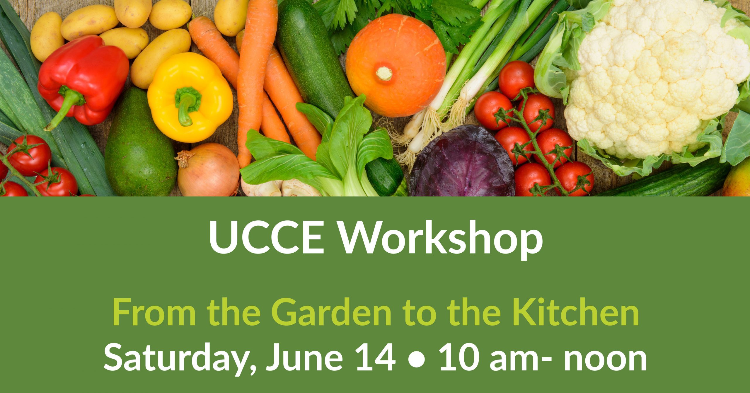 UCCE workshop showcasing the process from garden cultivation to kitchen preparation of fresh produce.