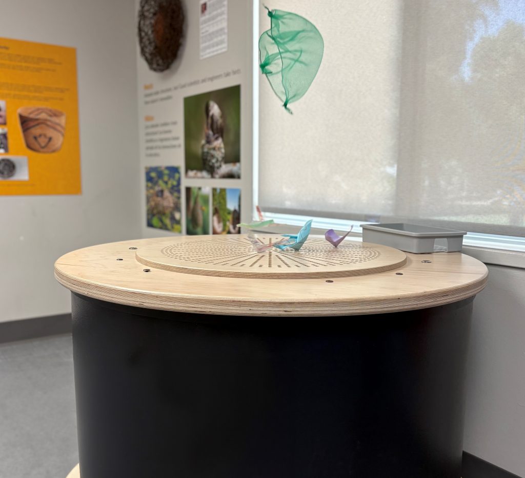 Tubeless Wind Tunnel